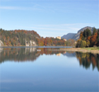 königlicher Blick über den Alpsee königlicher Blick über den Alpsee